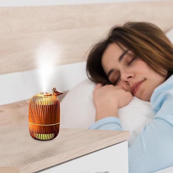 300ML Birdcage Design Desk Air 1459-1Humidifier-SA2405-195 - Image 6