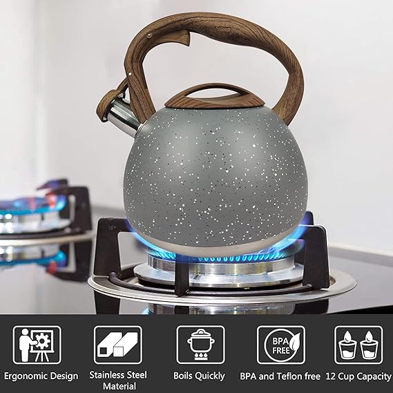Stainless Steel One Touch Button Whistle Teapot with Anti Scalding Handle- Grey Texture - Image 9